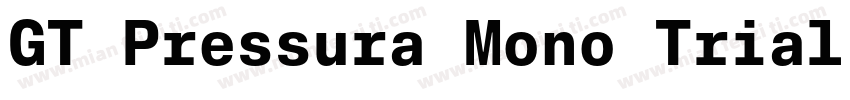 GT Pressura Mono Trial Bold Bold I字体转换
